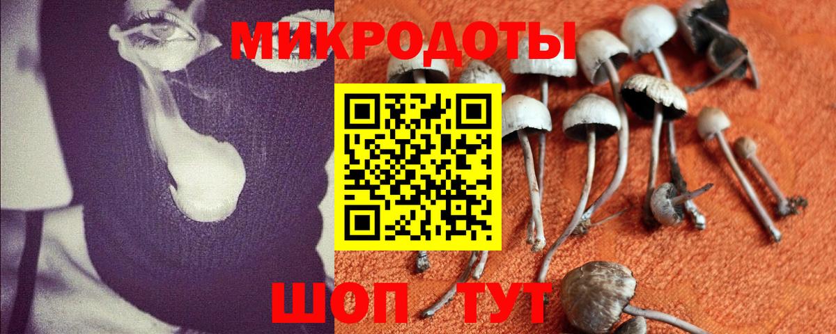 Псилоцибиновые грибы GOLDEN TEACHER  Вход с VPN  Мурино 